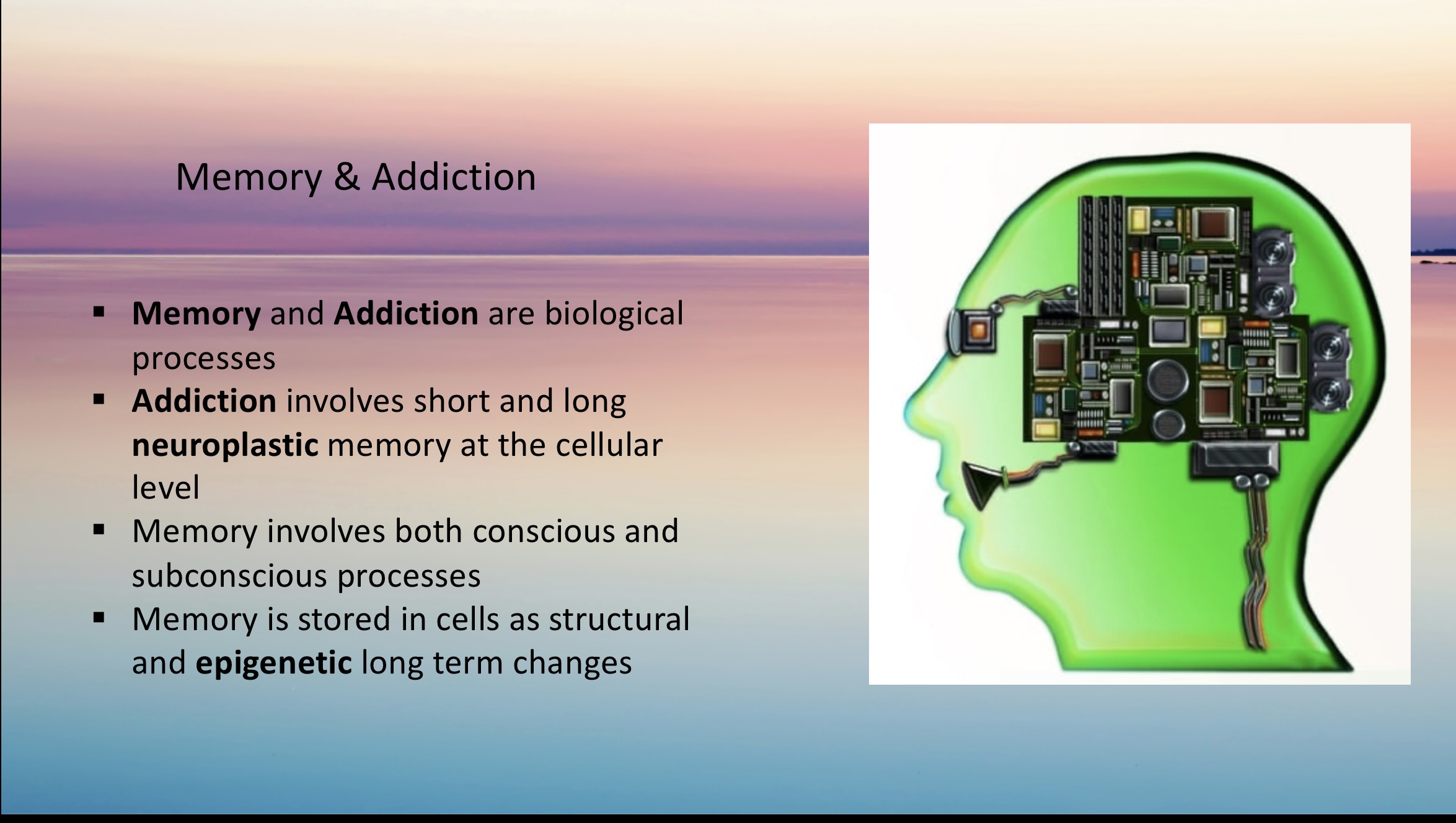 Memory – Pathways 4 – Sober Synthesis