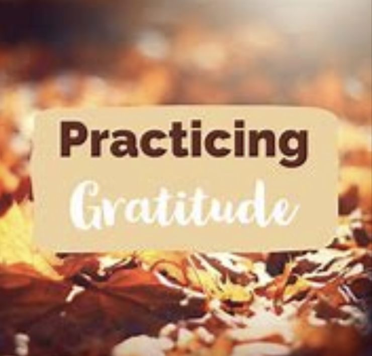 Sylvia-Gratitude: A Practice of Deep&nbsp;Connection