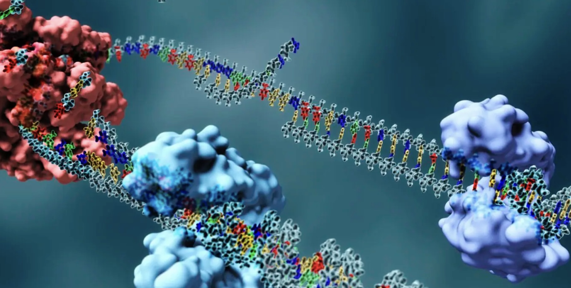 Jeff K. – Epigenetics