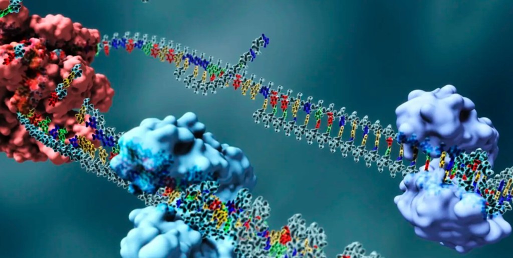 Jeff K. –&nbsp;Epigenetics