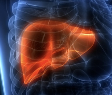 Jeff K – Alcohol Liver Disease