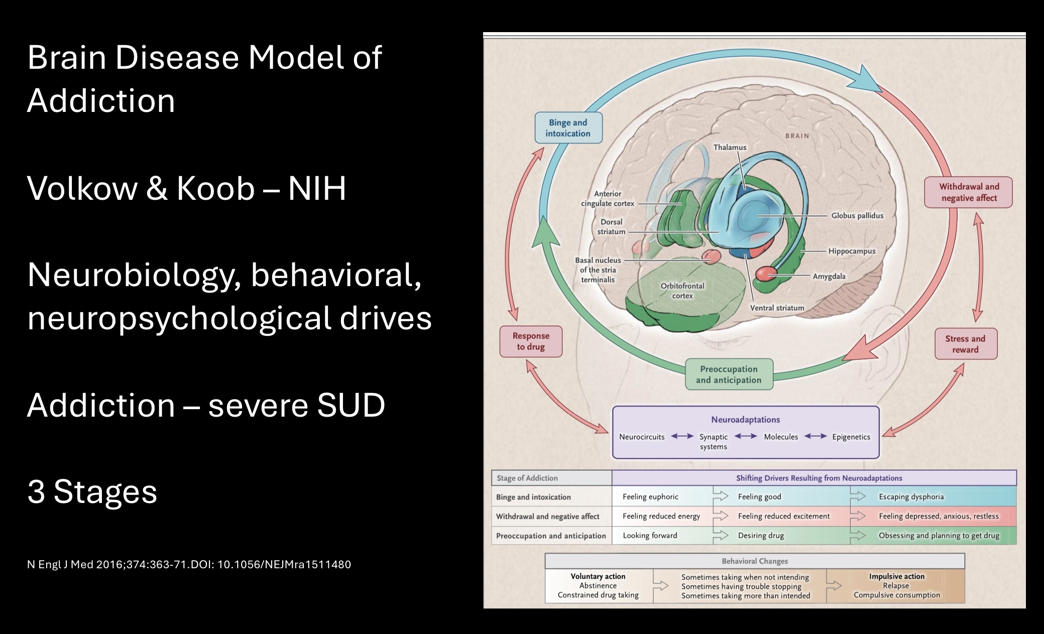 Jeff K – Disease Model of Addiction – Sober Synthesis