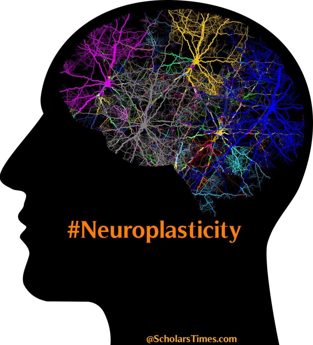 Sylvia-Neuroplasticity: The Root Cause of Addiction and the Pathway for Recovery and Learning