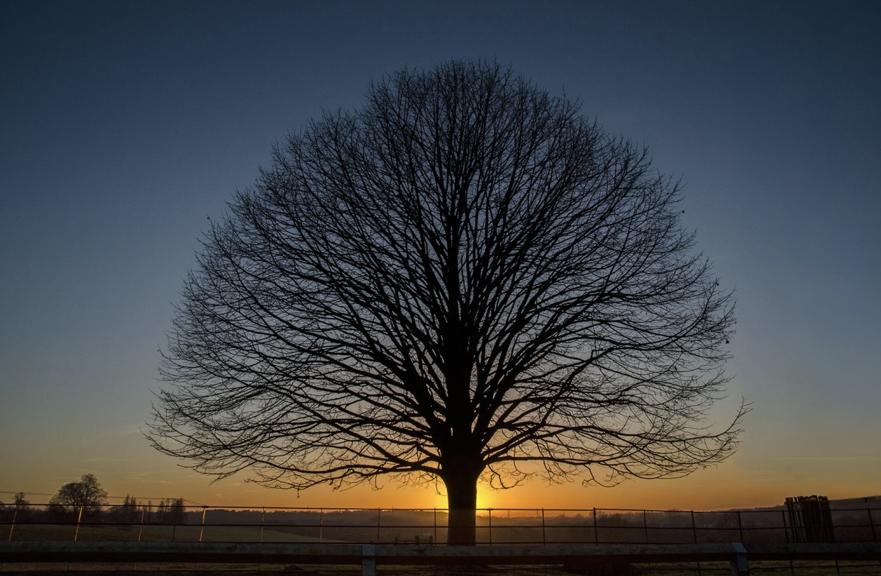 Ewa – Alignment Principles for Meditation