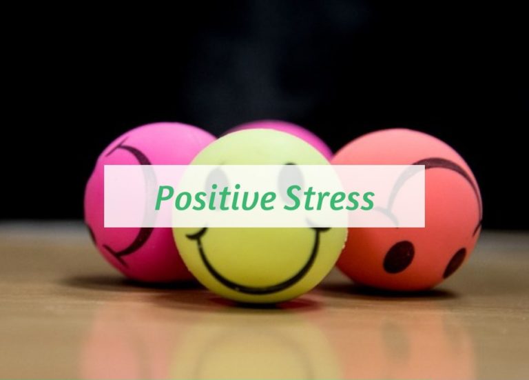 Sylvia-Harnessing Stress for Recovery and&nbsp;Growth