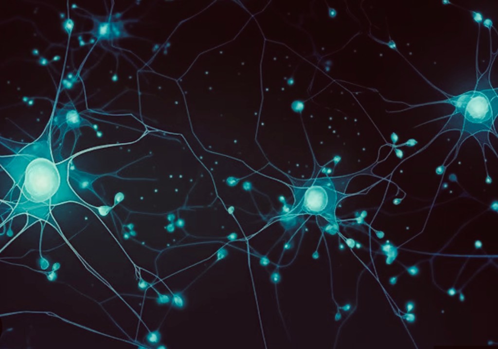 Jeff K. – Pharmacotherapy for AUD&nbsp;-1