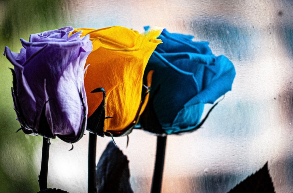 New! Elements of&nbsp;Will