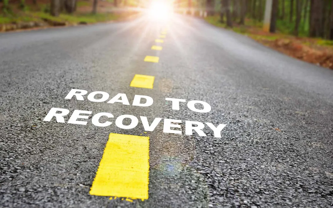 Sylvia-Neurobiology: Addiction Creation and Relapse Risk Factors