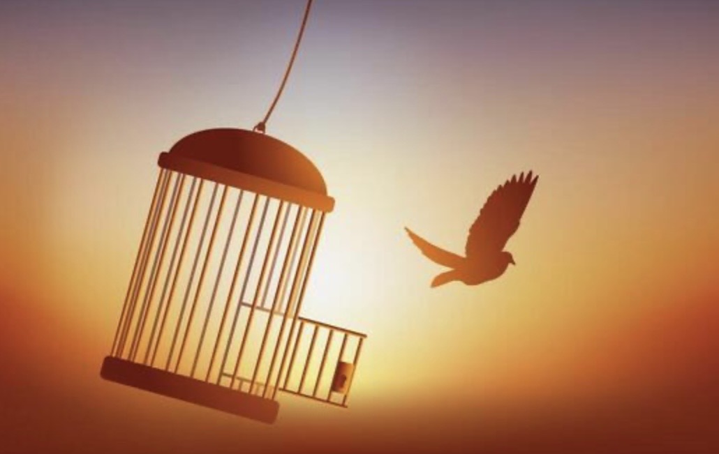 MINDFULNESS & FREEDOM