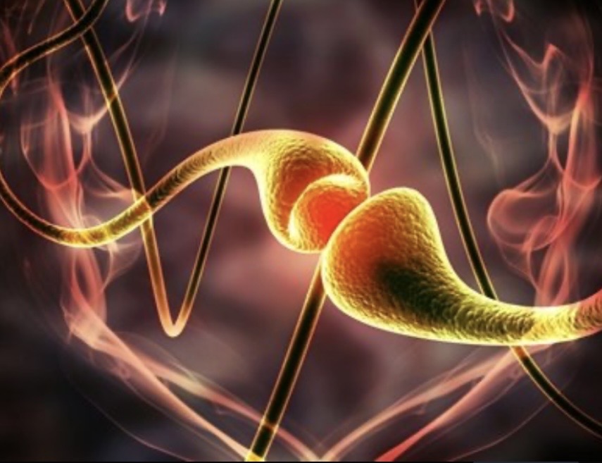 Ewa – Neuroplasticity & Mindfulness